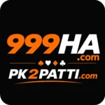 999ha-game