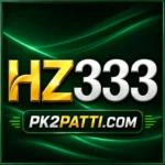 hz333-game